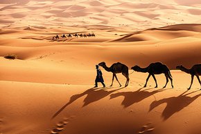 the hot desserts of the Sahara and shifting sand dunes in Morocco