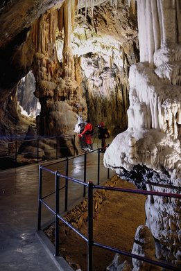 La grotte de Postojna